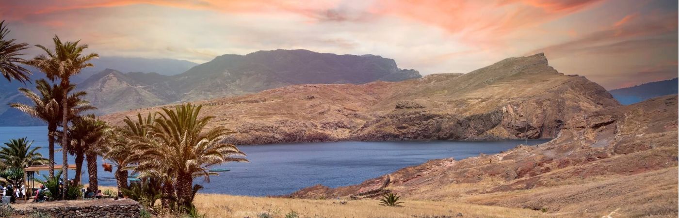 Preguntas frecuentes